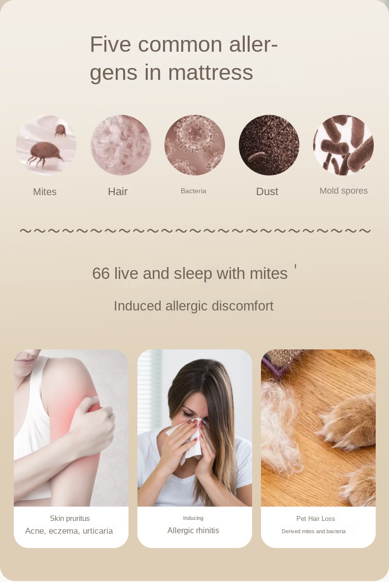 Wireless UV Dust Mite Vacuum