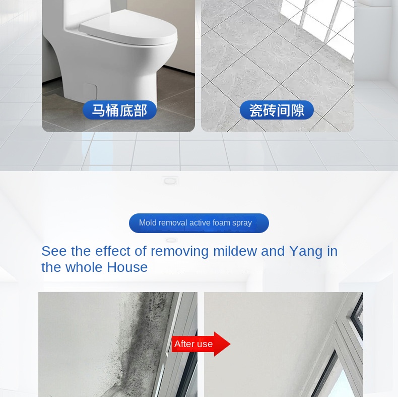 Mildew Remover Spray