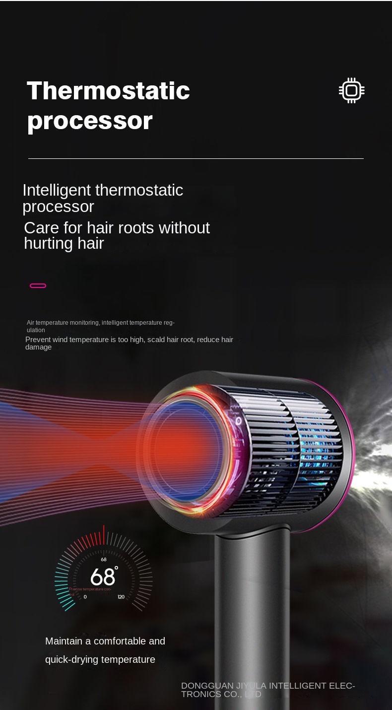 High-Speed Ionic Hair Dryer