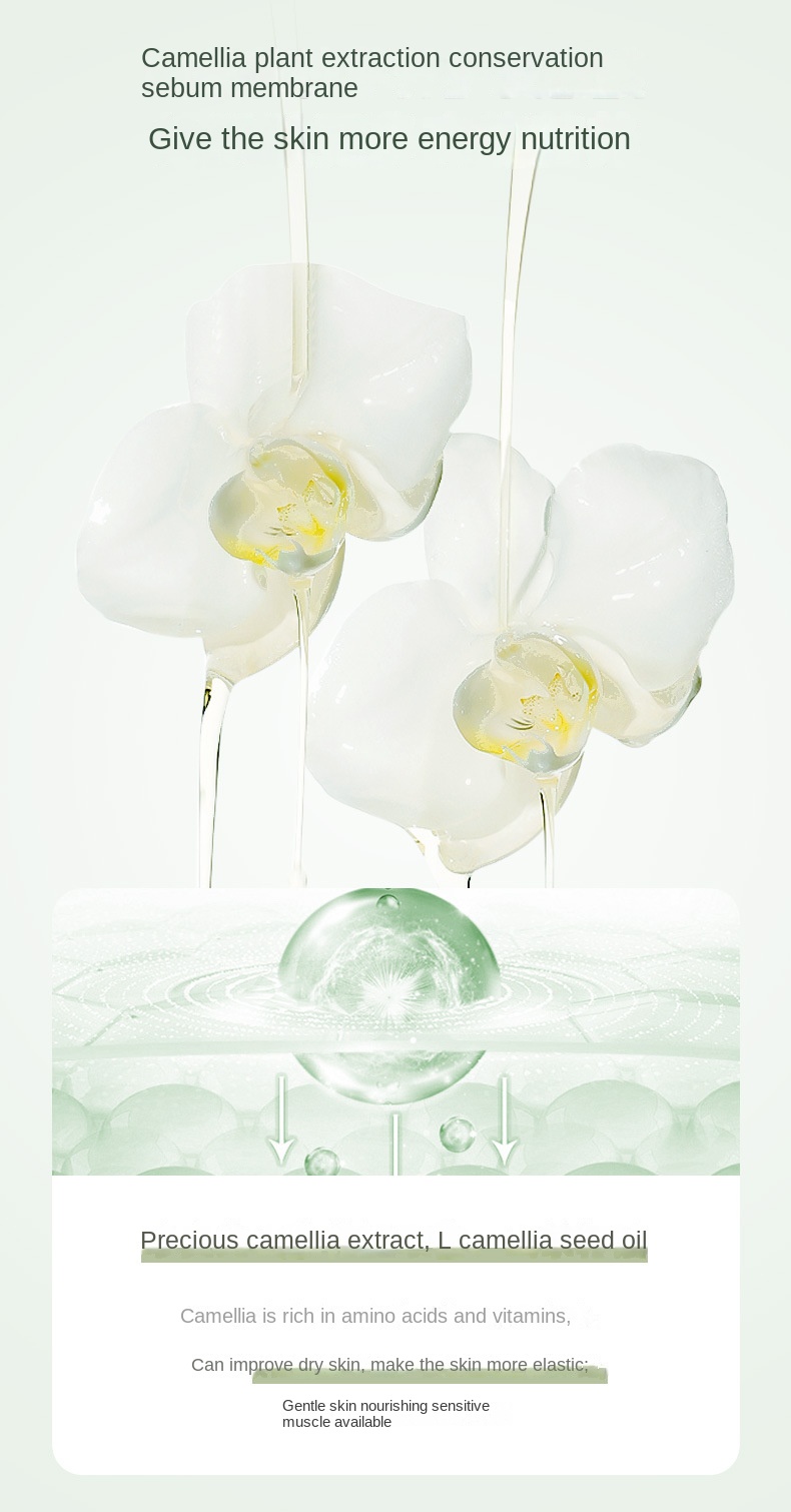 Camelia Cleansing Mousse 600ml