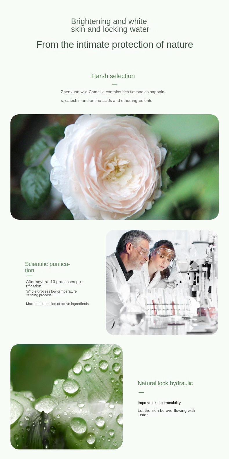 Camelia Cleansing Mousse 600ml