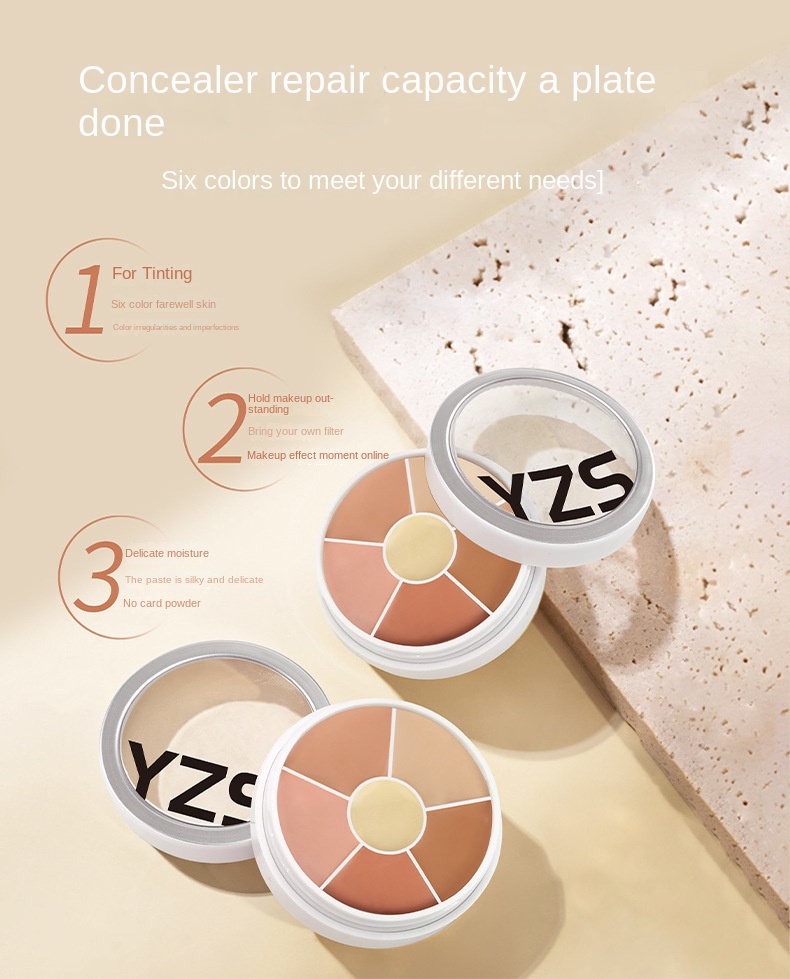 6 COLOR CONCEALER