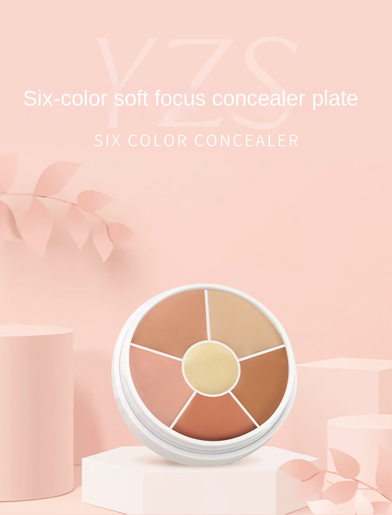 6 COLOR CONCEALER