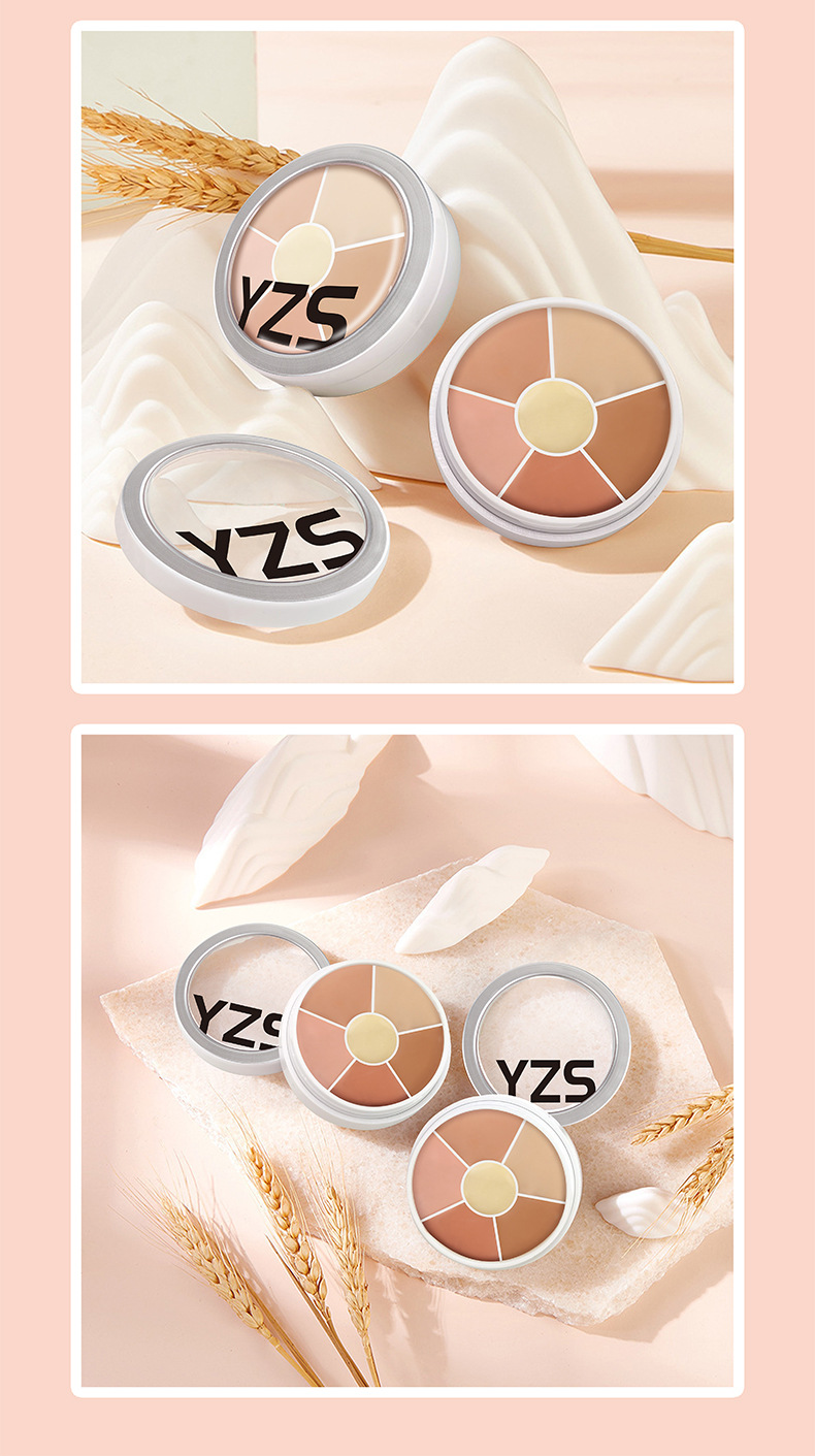 6 COLOR CONCEALER