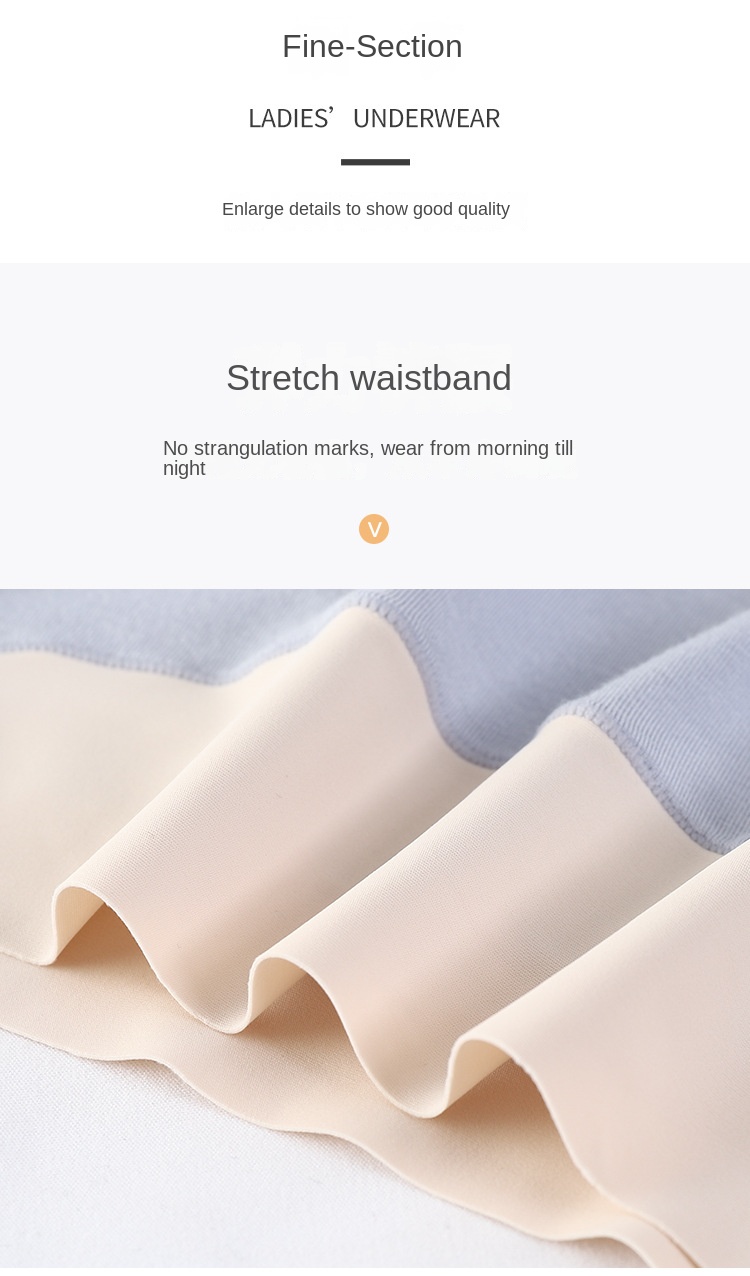 Colorblock Seamless Silk Shaping Panty