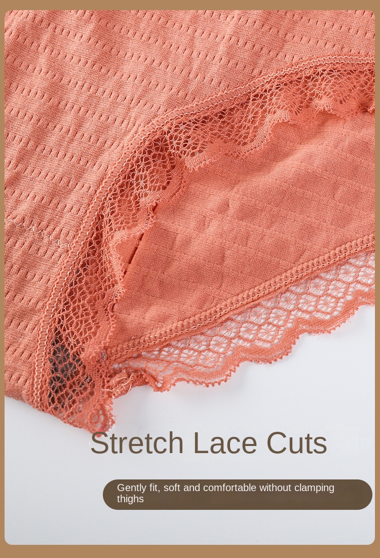 Seamless Cloud Soft Lace Panties