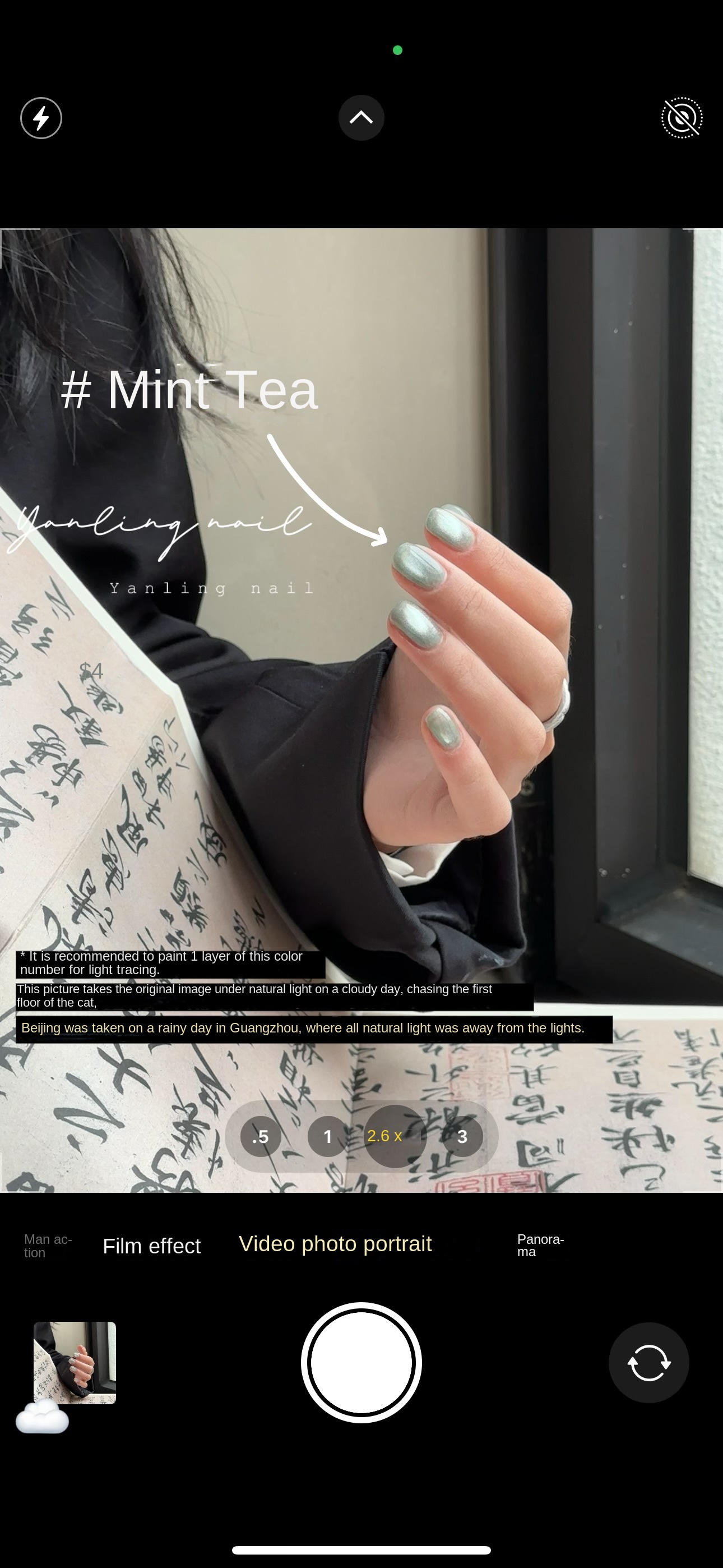 Emerald Cat's Eye Nail Polish