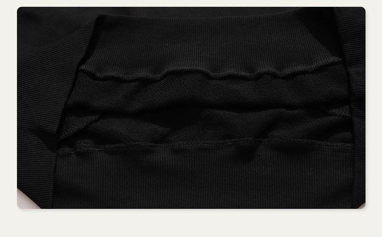 Wholesale Euro Size 380G Cotton Fleece Hooded Men's Sweatshirt