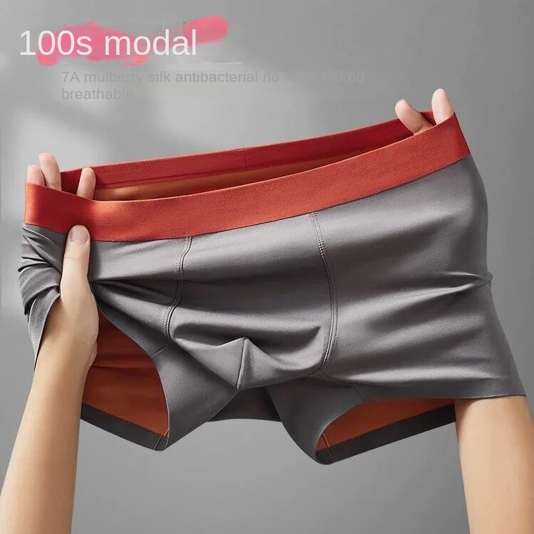 Men's Modal Silk Underwear