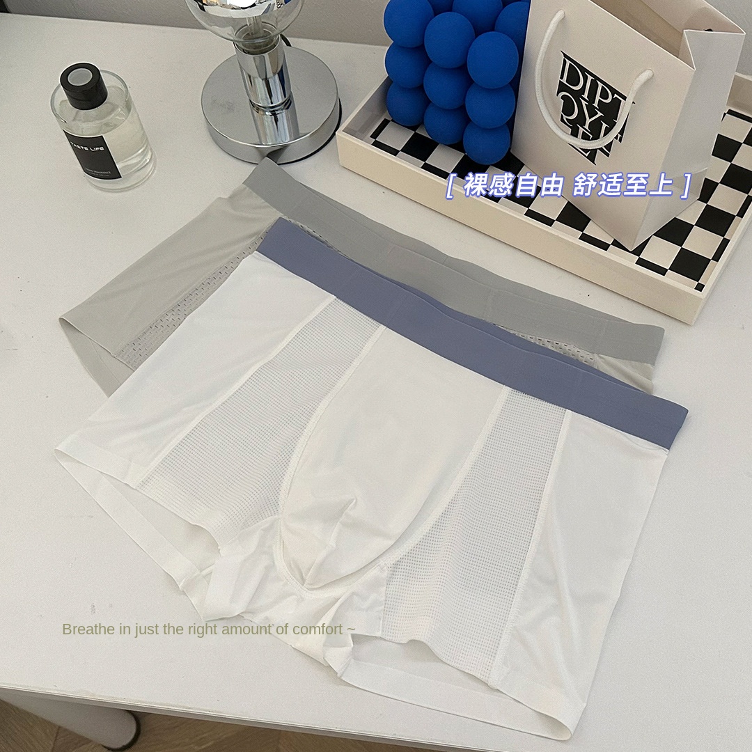 Ice Silk Men's Boxer Briefs