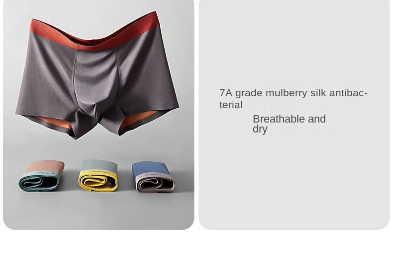 Men's Modal Silk Underwear