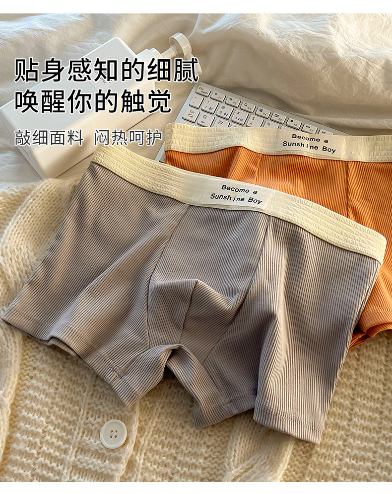 Pure Cotton Men's Briefs