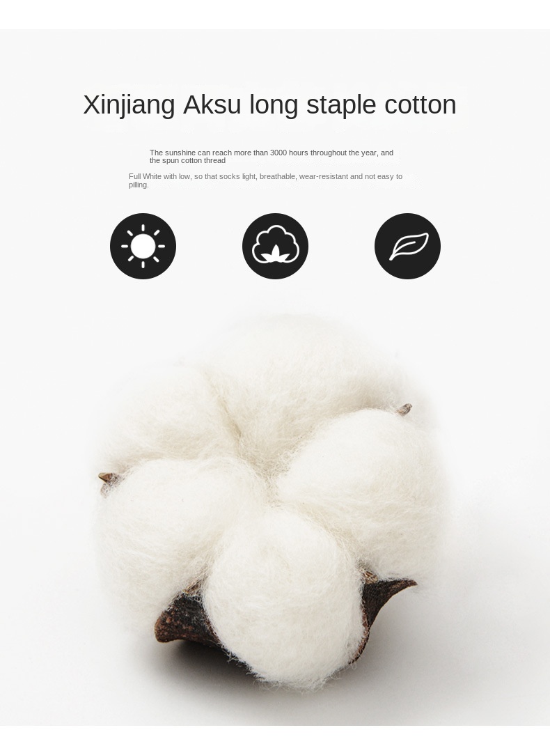 Summer Cotton Men's Low Cut Socks