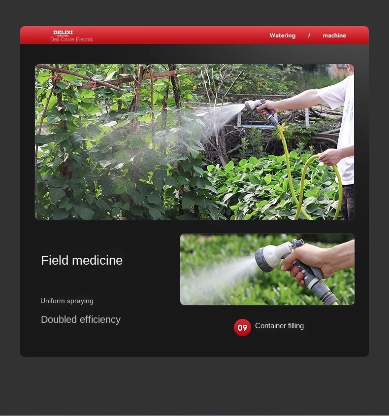 Delixi Watering Pump