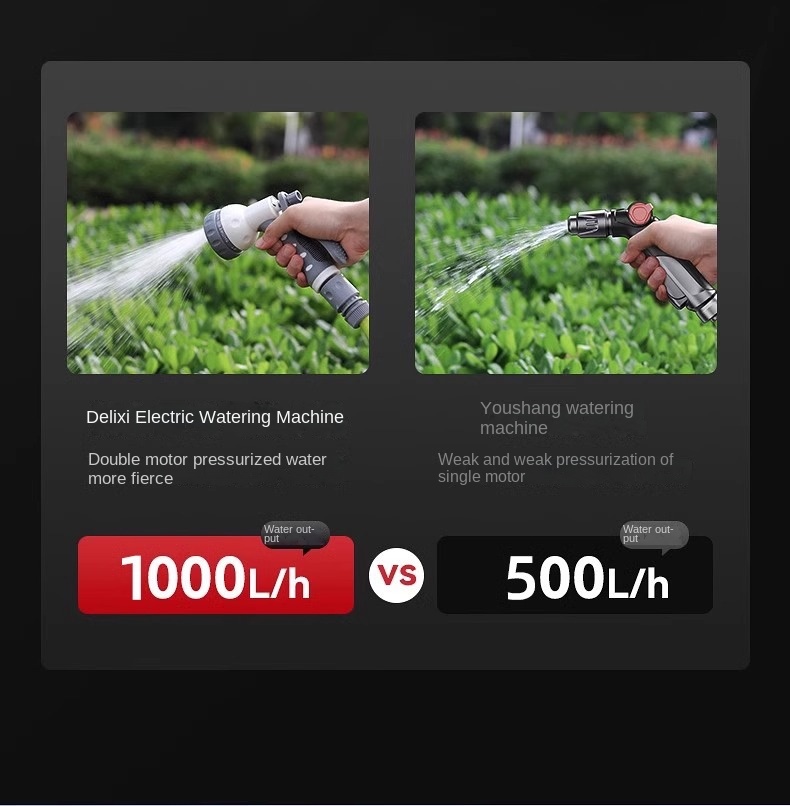 Delixi Watering Pump