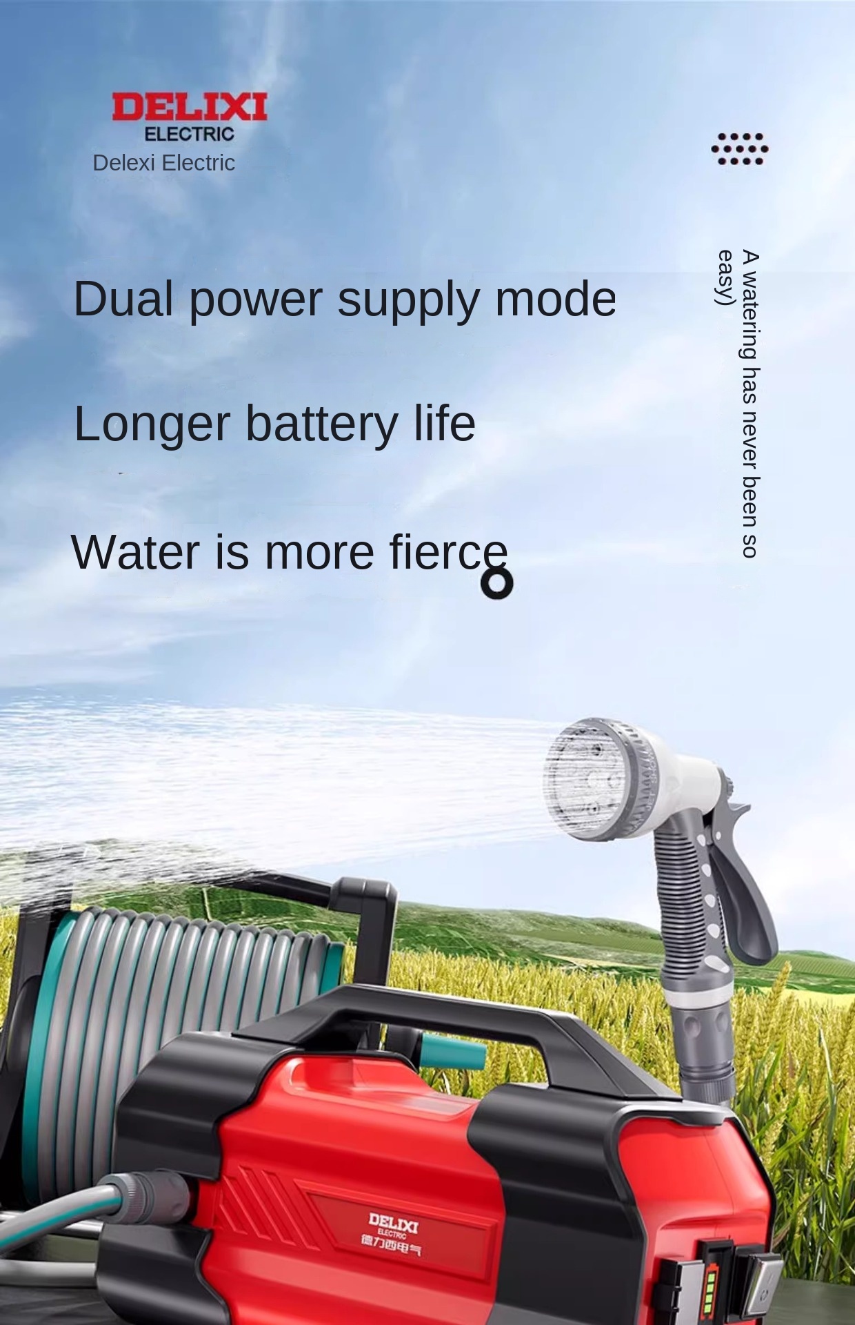 Delixi Watering Pump