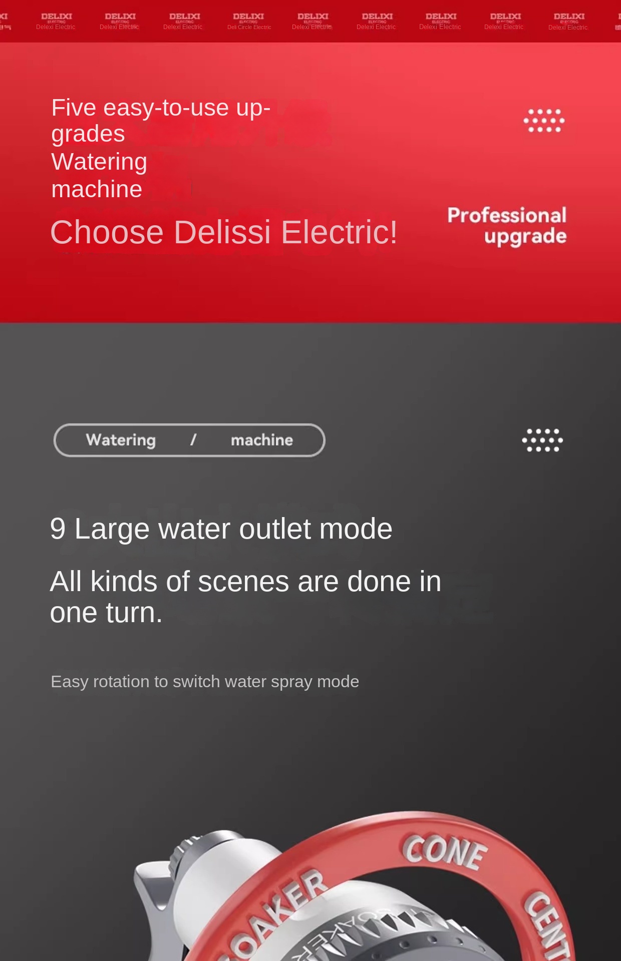 Delixi Watering Pump