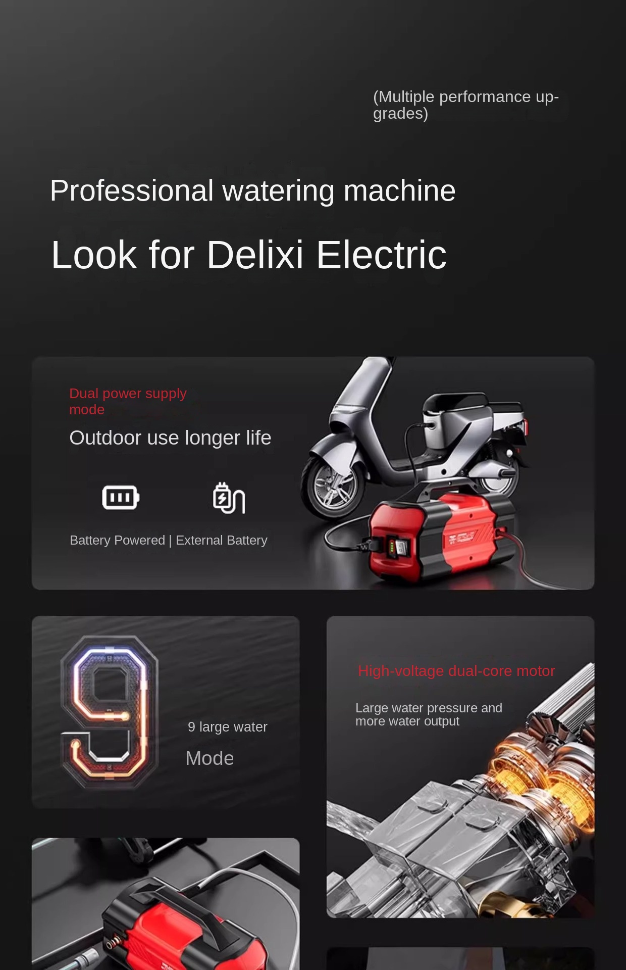 Delixi Watering Pump
