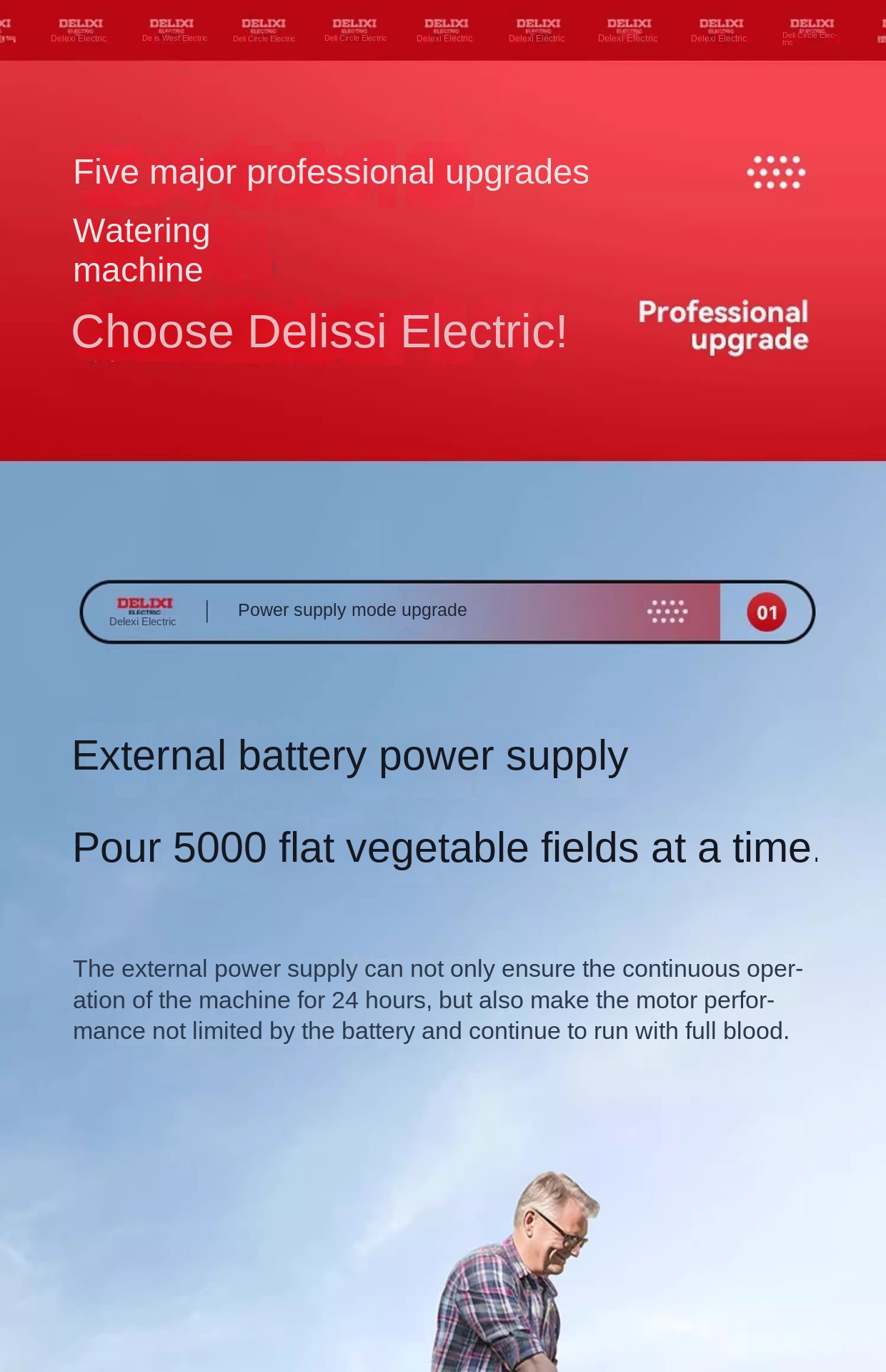 Delixi Watering Pump