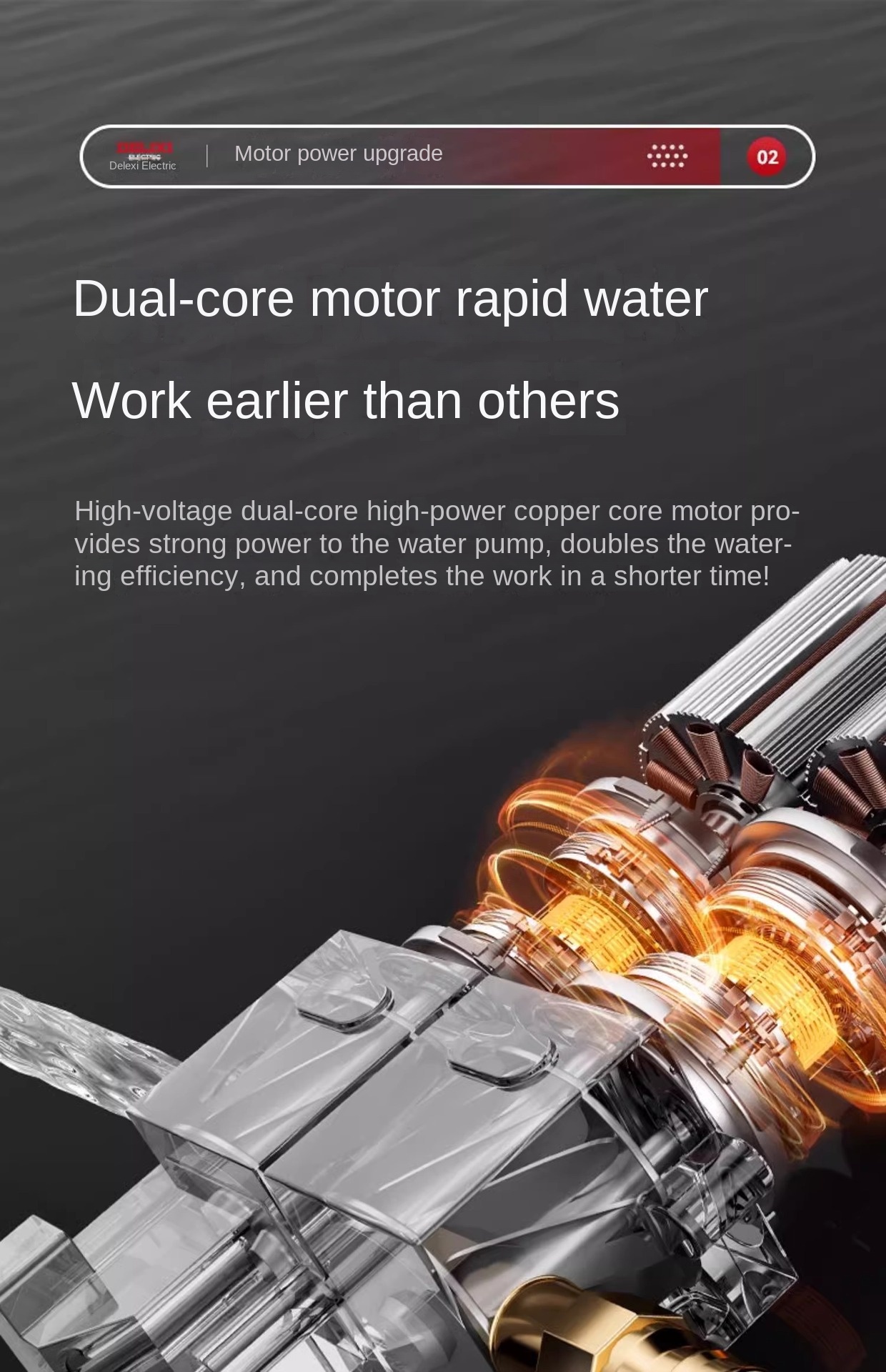 Delixi Watering Pump