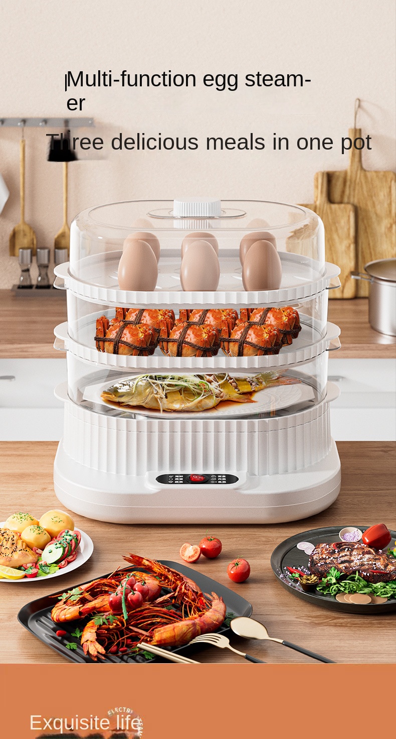 Multifunctional Electric Steamer